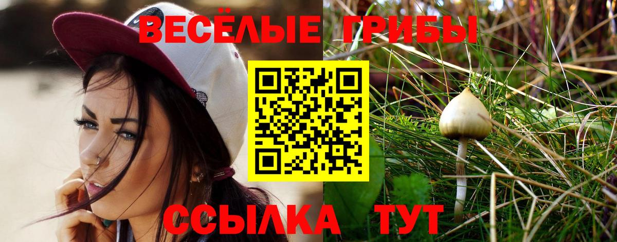 Галлюциногенные грибы прущие грибы  Вход с VPN  Галлюциногенные грибы GOLDEN TEACHER  Арзамас 