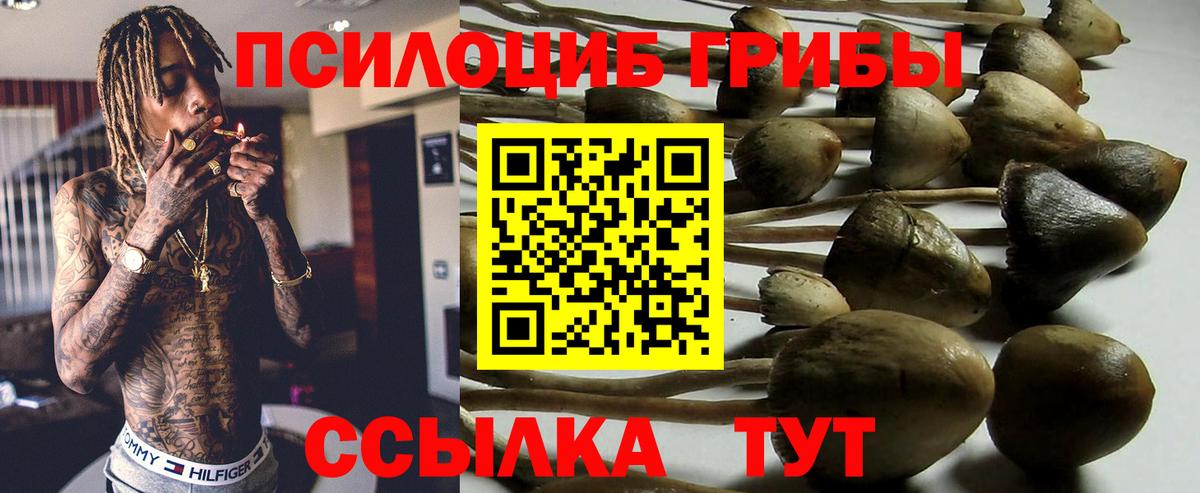 Галлюциногенные грибы ЛСД Арзамас